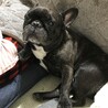 あぐねね