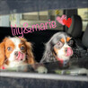 as&lmさん