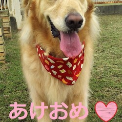 お久しぶりです。きたでんとマヤです♡