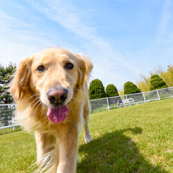 「お久しぶりです。きたでんとマヤです♡」サムネイル2