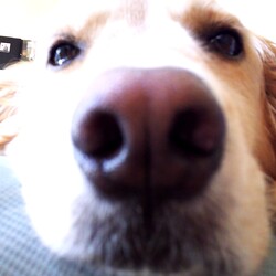 「お久しぶりです。きたでんとマヤです♡」サムネイル3