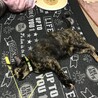 全力で遊びました……。