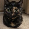 めちゃかわっ……！