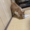 の写真