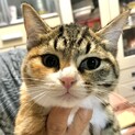 【アイナ】おかげ様で里親様が決まりました！