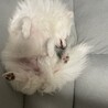 おかちゃん？