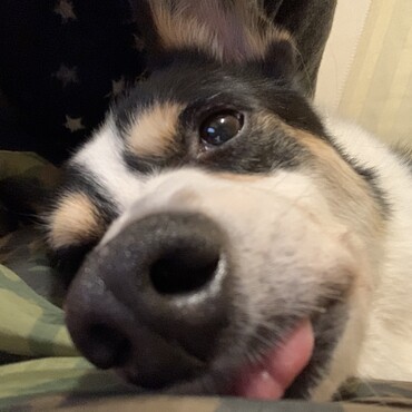 の写真