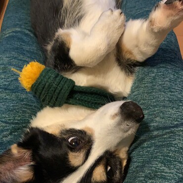 の写真