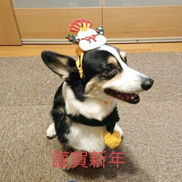 の写真