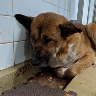 期日が迫っています