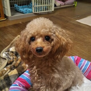 沢山のご応募頂きありがとうございます。