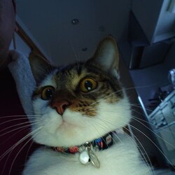 「生後９ヶ月」サムネイル1