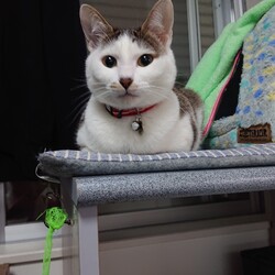 「生後９ヶ月」サムネイル2