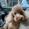 てらみづき