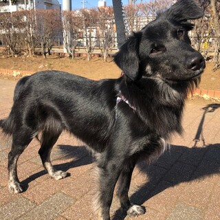 ちょっぴりシャイな男の子、デニーくん☆