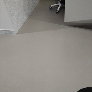 大切にしてくださる里親を募集しております