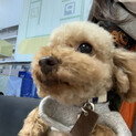 ありがとうございました