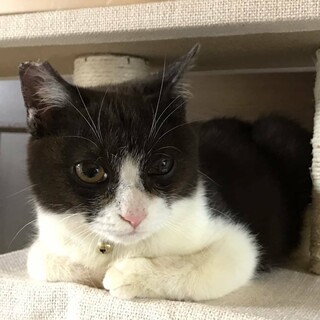 生き延びた大切な命、ぺーちゃん