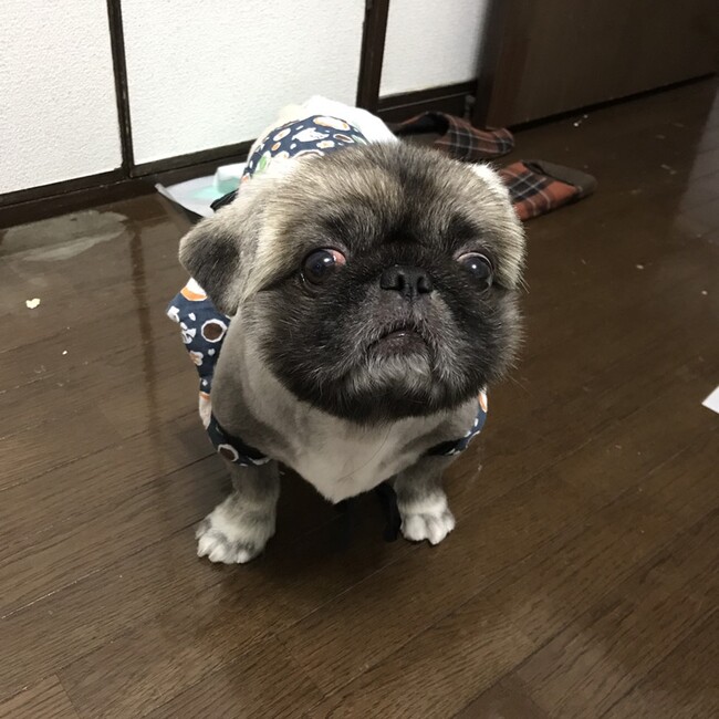 上町のカバー写真