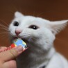 りんちゃんmama