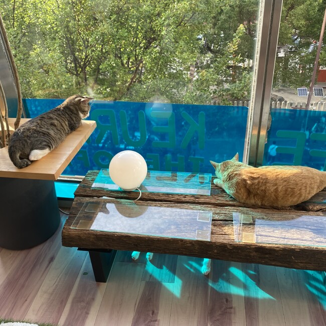 ウエモト4869のカバー写真