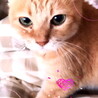 みゅうこ♪
