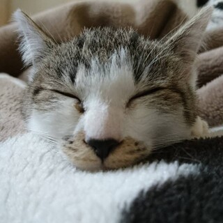 遊ぶの大好き　かまってちゃんの男の子　りゅうくん