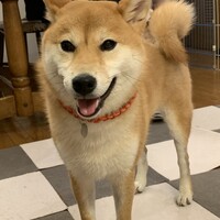 あずき