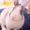 香織0120