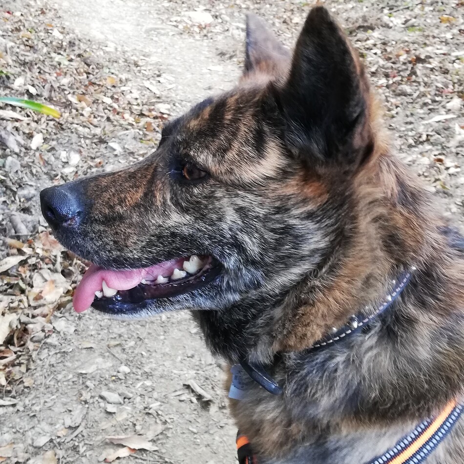 れおんのカバー写真