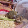 お家に到着！いらっしゃいませ(♡´艸`)