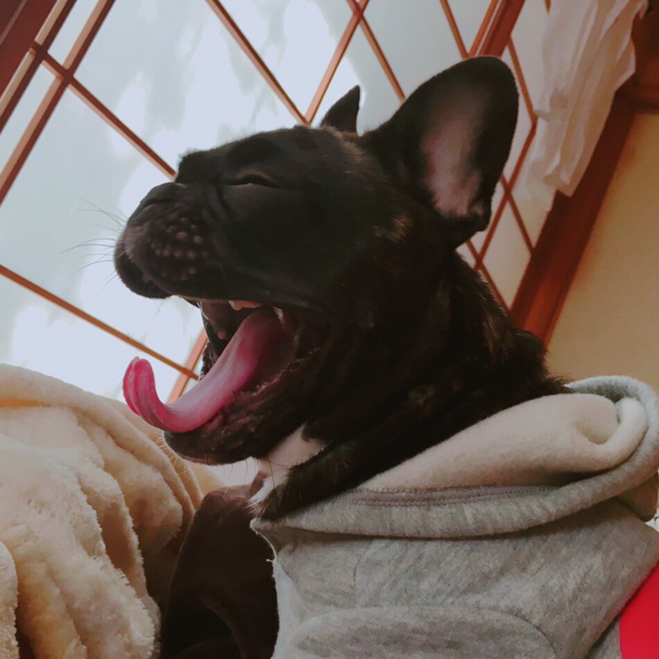 ADELのカバー写真