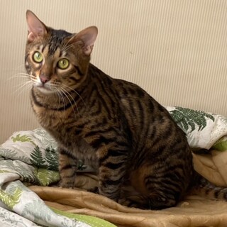 わんぱくで元気いっぱいの凛君