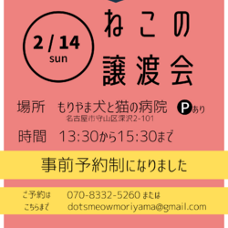 【中止】ねこの譲渡会 #1