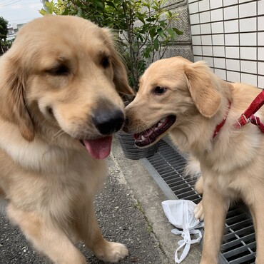 お友達と会えて喜ぶ