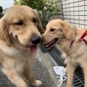 お友達と会えて喜ぶ