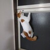 モツ鍋ウマー