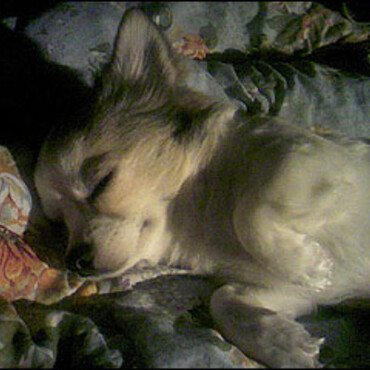 寝ているむつき