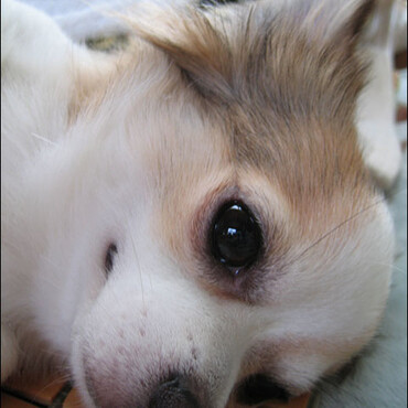 横になっているむつき