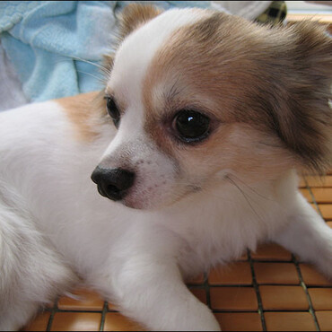 横になっているむつき