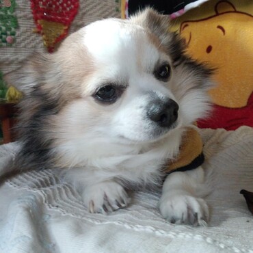 眠そうなむつき