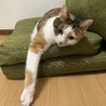 marble.chocoさん
