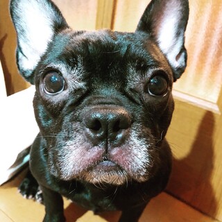 ありがたいことにご家族に迎えていただきました