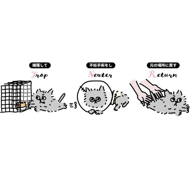 花街猫の会のカバー写真