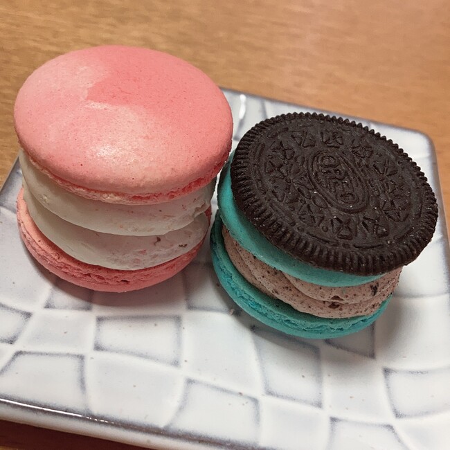 モルちゃんのカバー写真