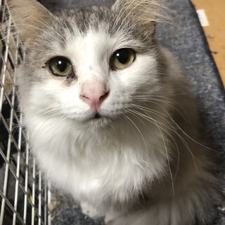 １歳半の男の子。トライアル開始しました！