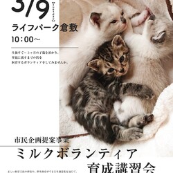 子猫ミルクボランティア講習会