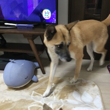 の写真