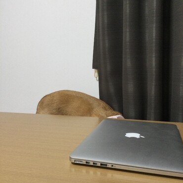 の写真
