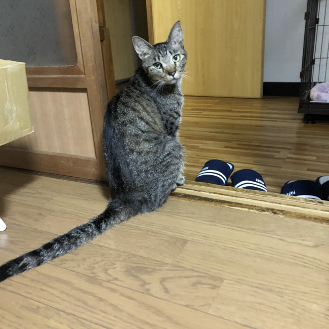 じんのすのカバー写真